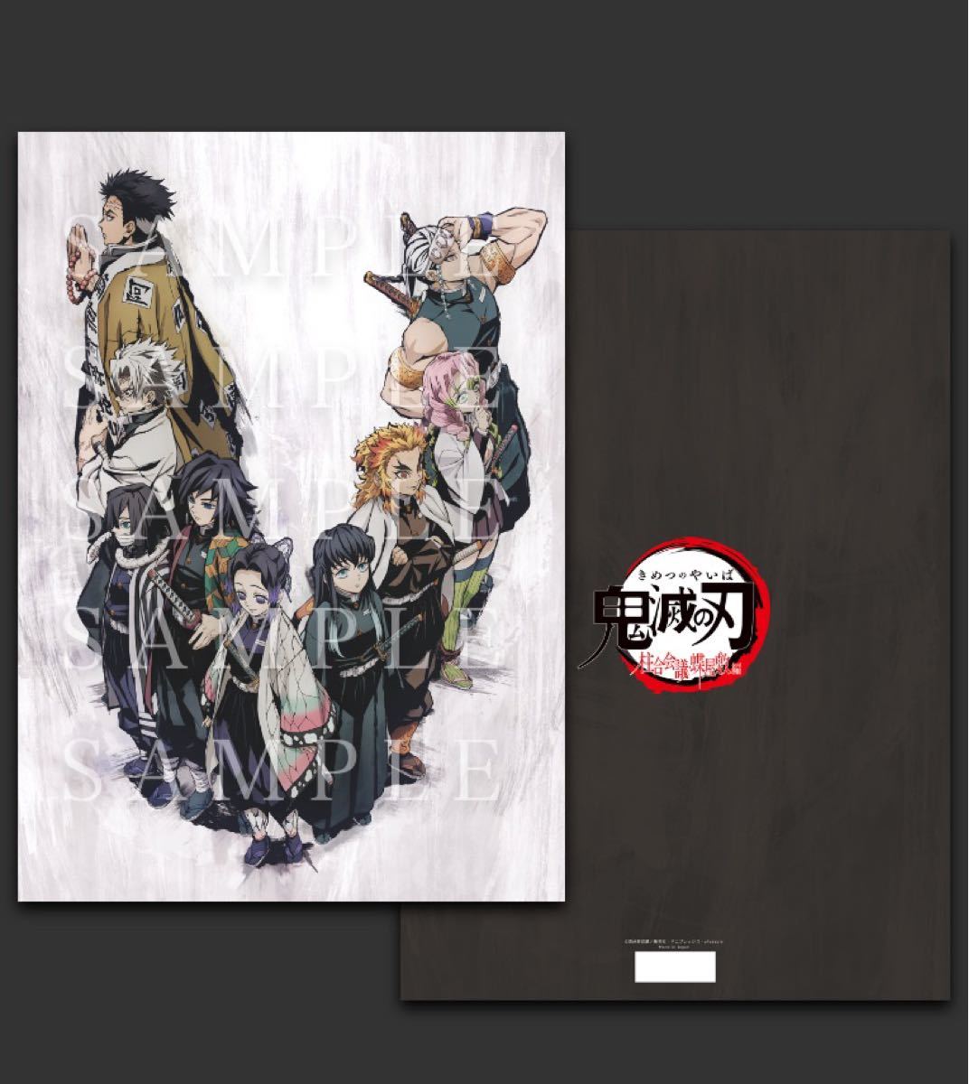 鬼滅の刃 劇場版 無限列車 柱合会議 蝶屋敷 A3 ランチョンマットケース