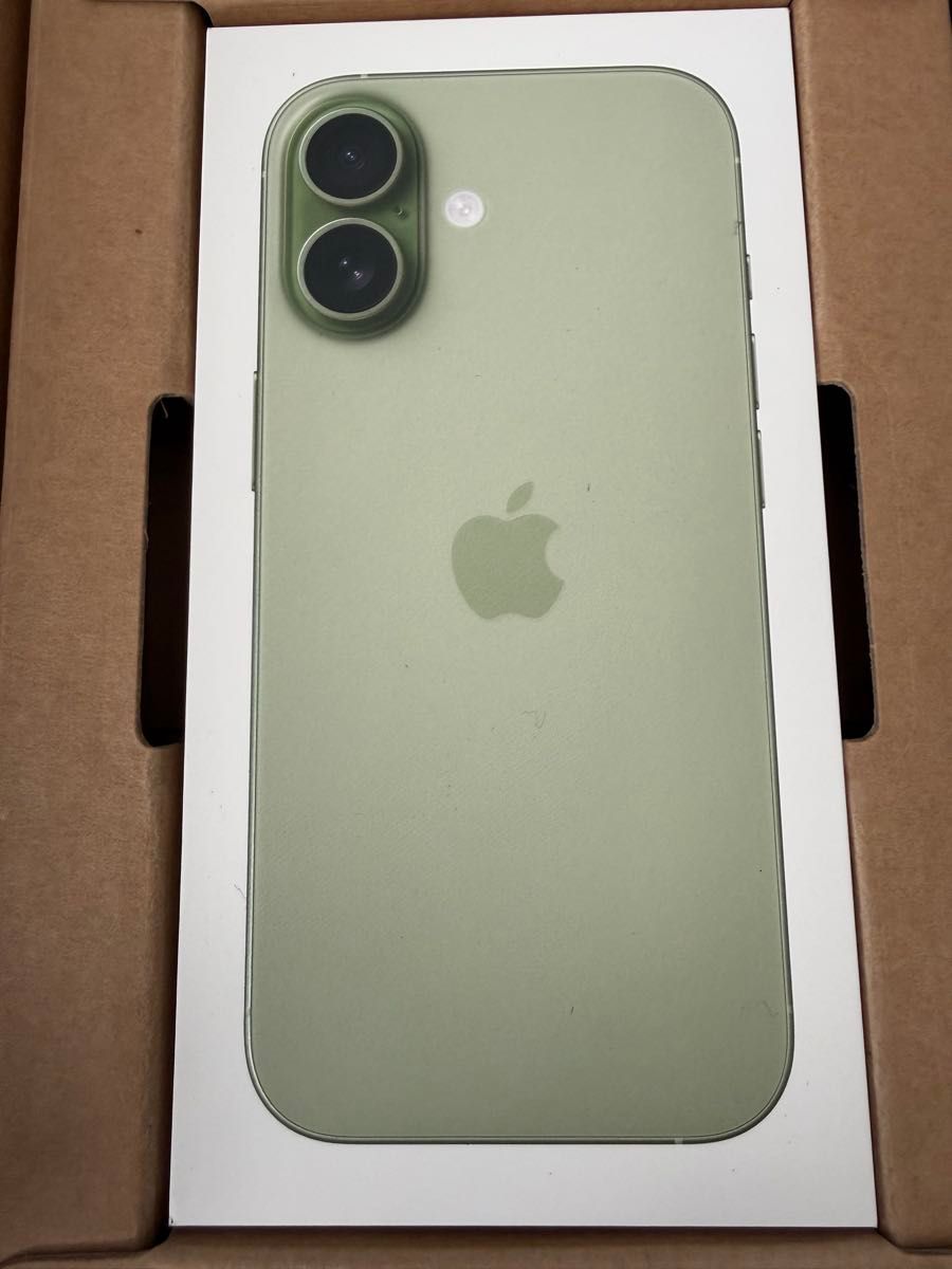 Apple iPhone17 セージ 256GB SIMフリー版｜Yahoo!フリマ（旧PayPay