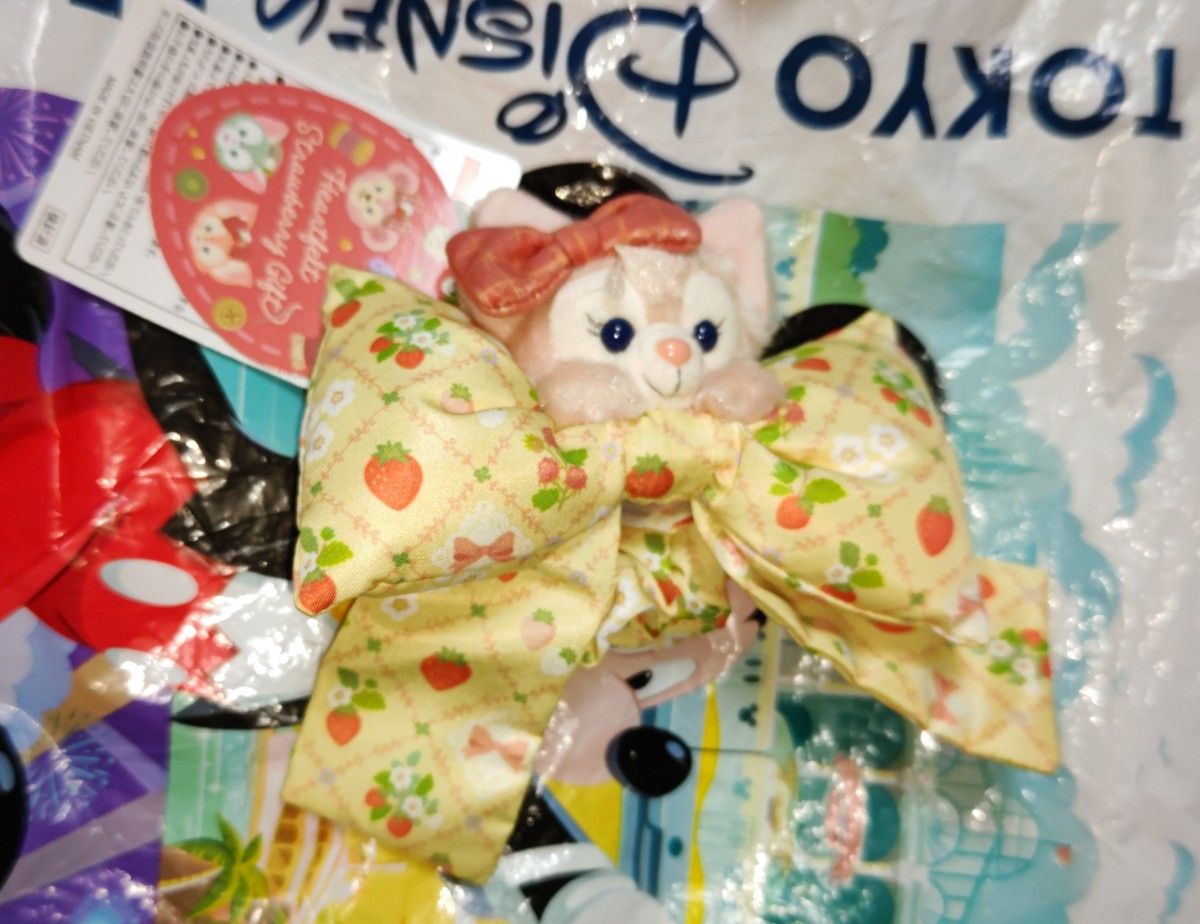 東京ディズニーシー ダッフィー ＆ フレンズ ハートフェルト