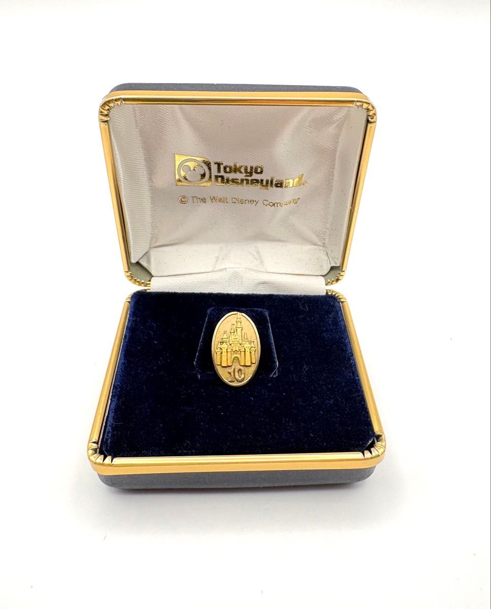 東京ディズニーランド TDL キャスト 勤続 10周年 ピンバッジ メダル