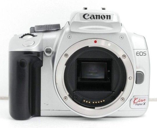 CANON EOS Kiss X レンズ1本で広角から超望遠 初心者 キャノン 一眼