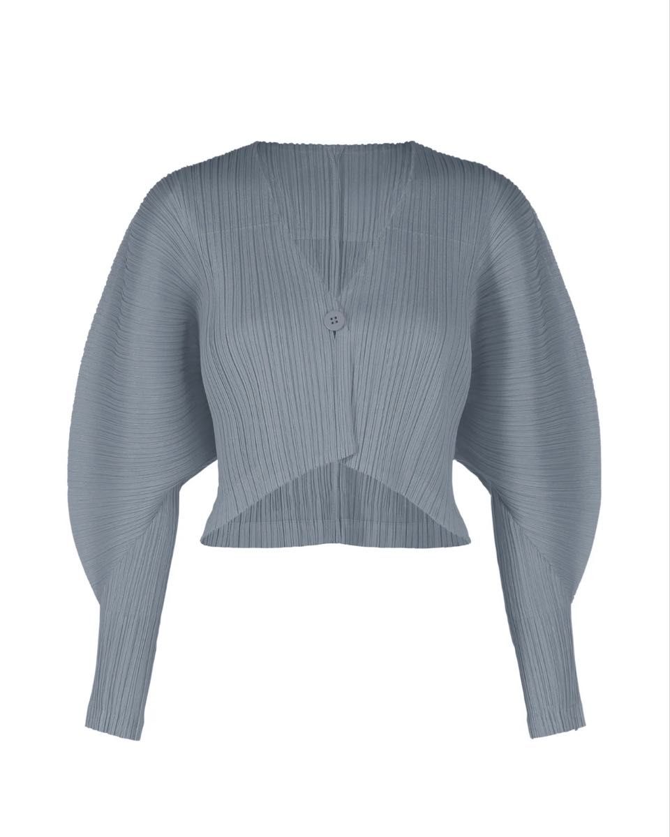 MONTHLY COLORS DECEMBER イッセイミヤケ プリーツプリーズ