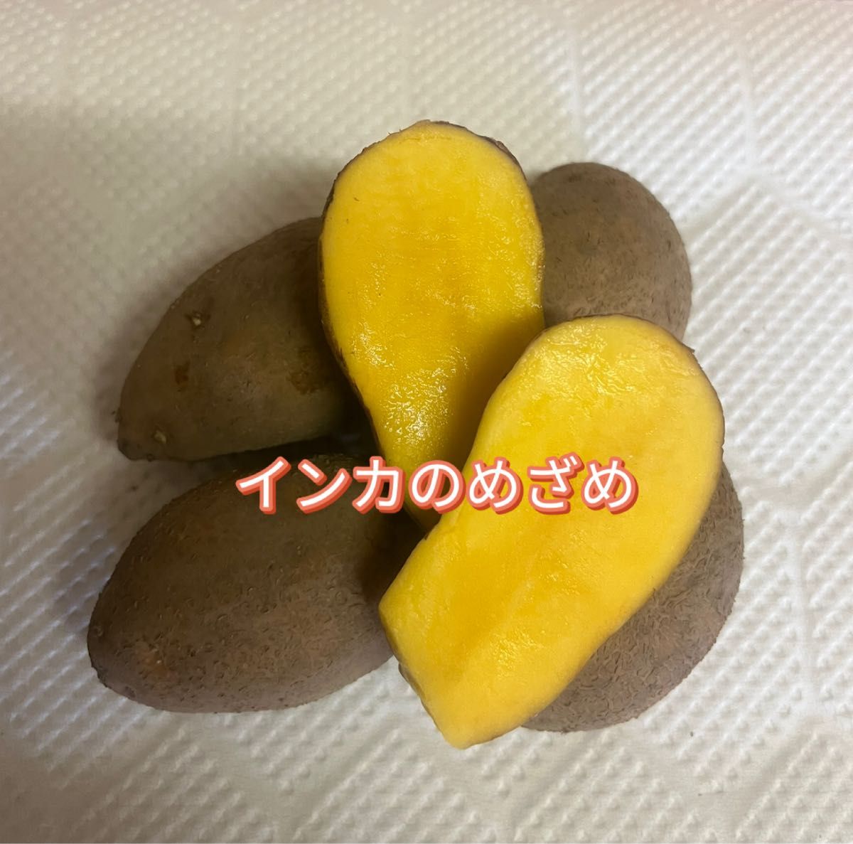 北海道十勝産 インカのめざめ 種芋 希少品・ 無農薬 じゃがいも 1キロ
