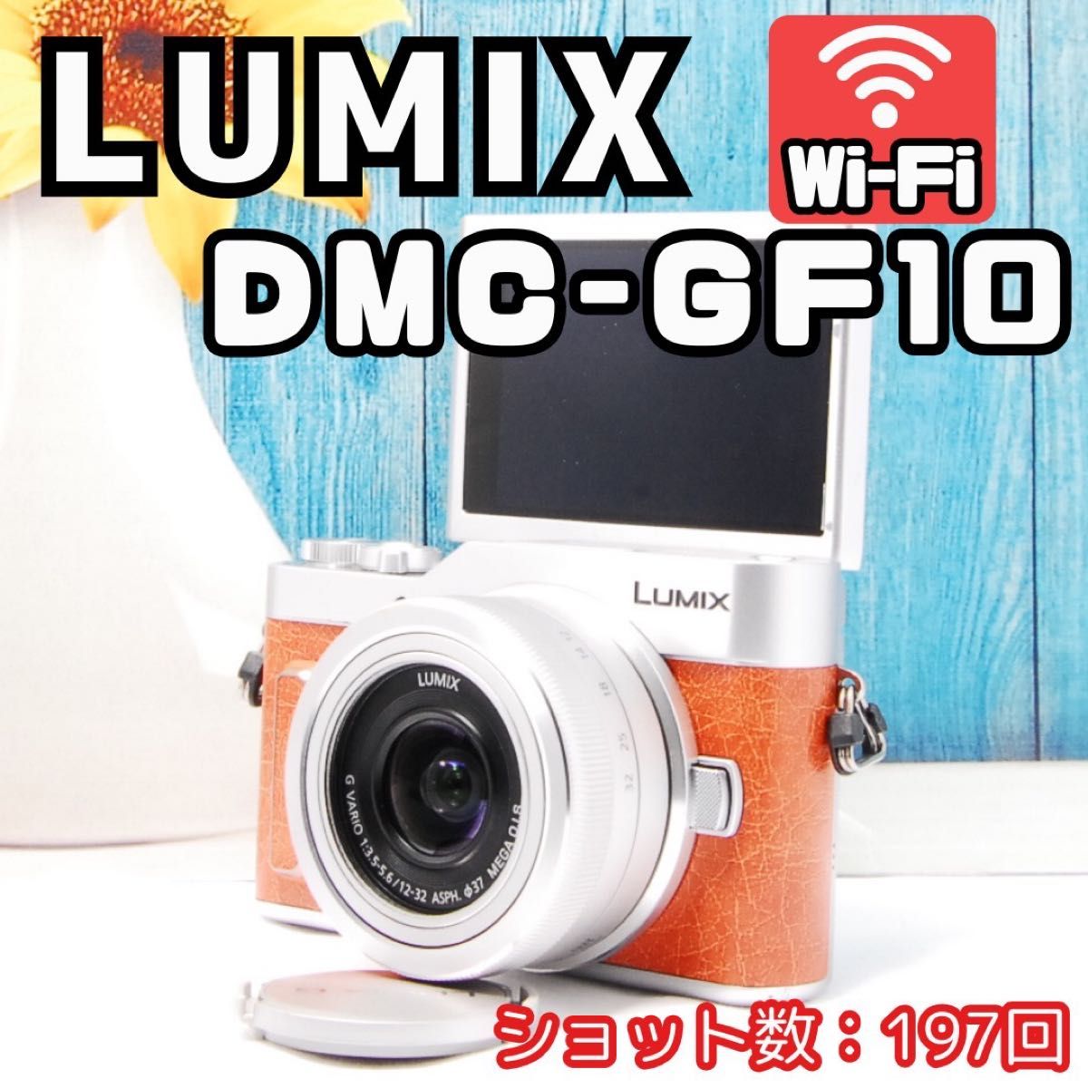 新品級】LUMIX GF10 Wi-Fi ショット数197回 ルミックス LUMIX