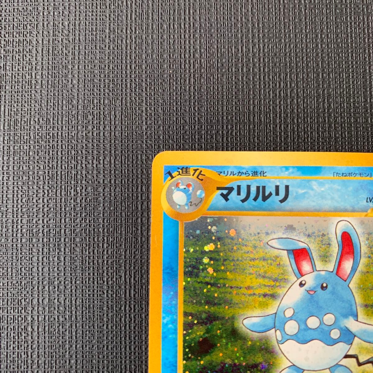 ポケモンカード 旧裏 マリル マリルリ 2枚セット HP40 HP70｜Yahoo