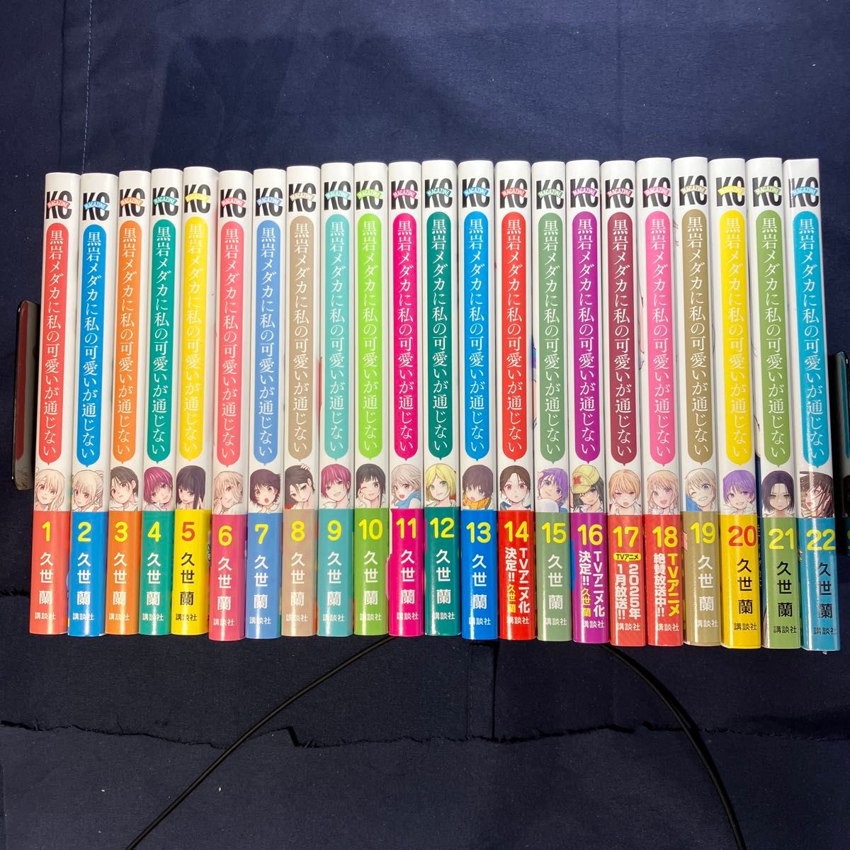 ほぼ新品品質】【シュリンク剥がしただけ】黒岩メダカに私の可愛いが