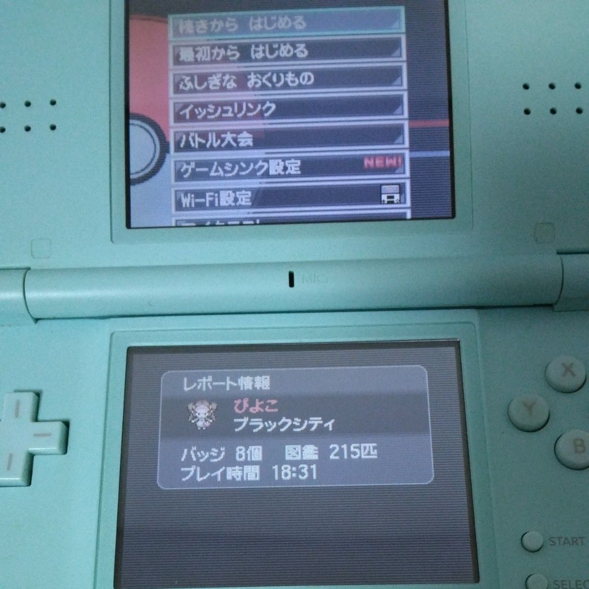 ニンテンドーDS Lite 充電器付き ポケモン エメラルド ブラック2