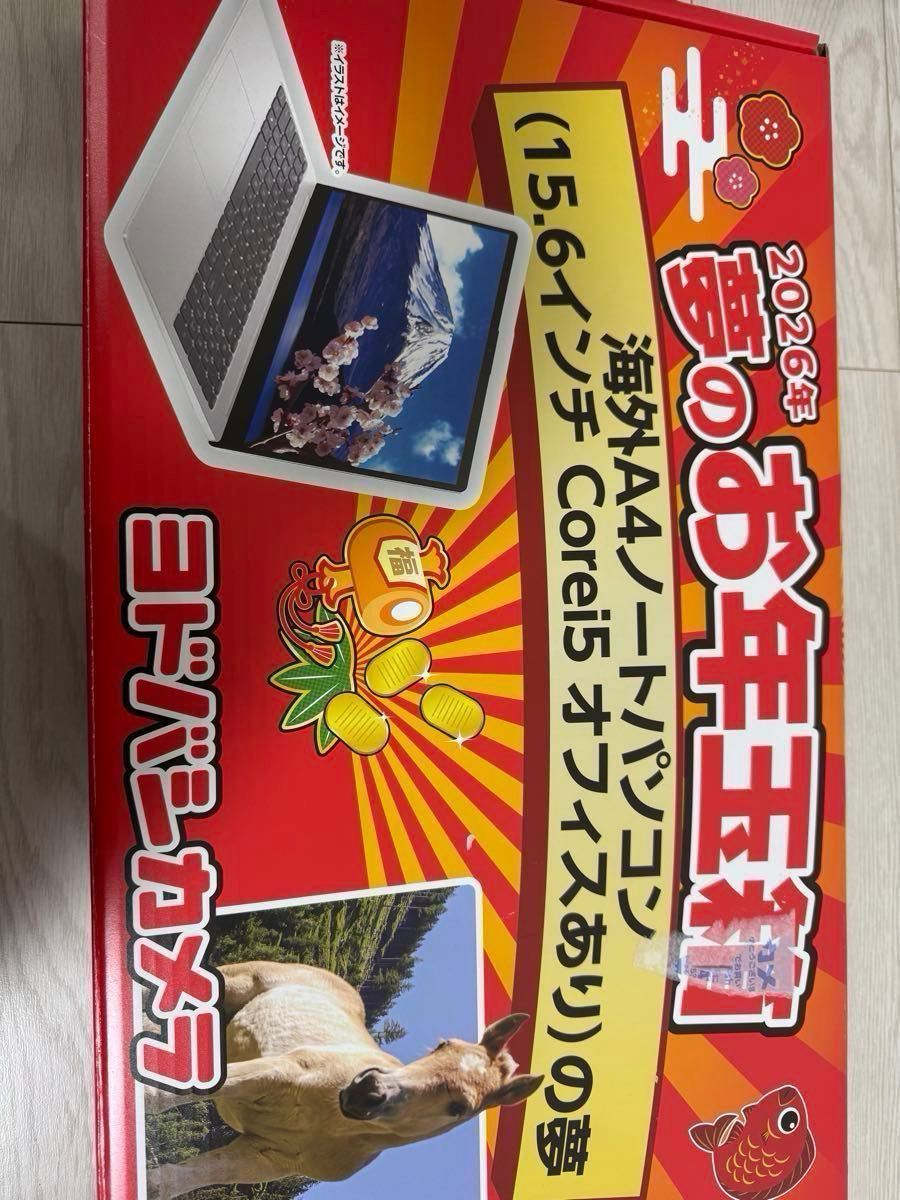 ヨドバシカメラ 夢のお年玉箱 海外ノートパソコンの夢 オフィスあり 夢