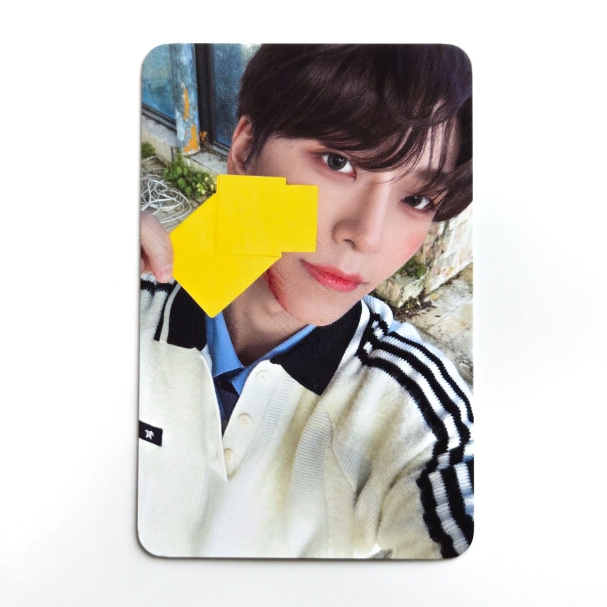 ALD1 デビューショー 1日目 サノク シンロン トレカ｜Yahoo!フリマ（旧