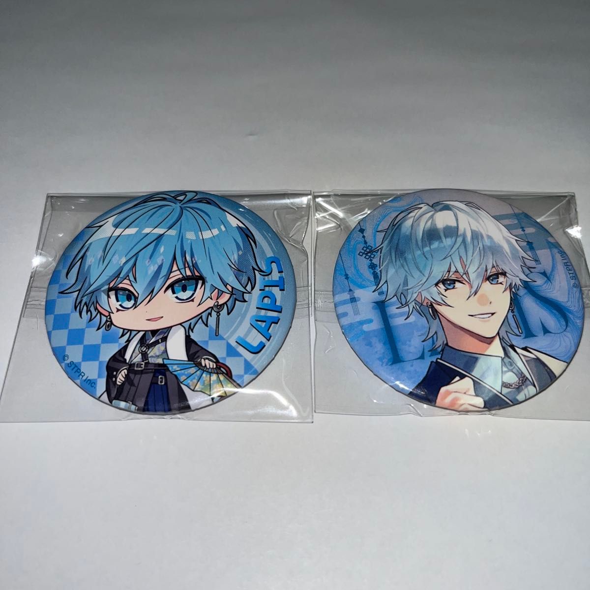 Lapis すとふぇす 2026 等身 めておら 缶バッジ 31点 Lapis すとふぇす