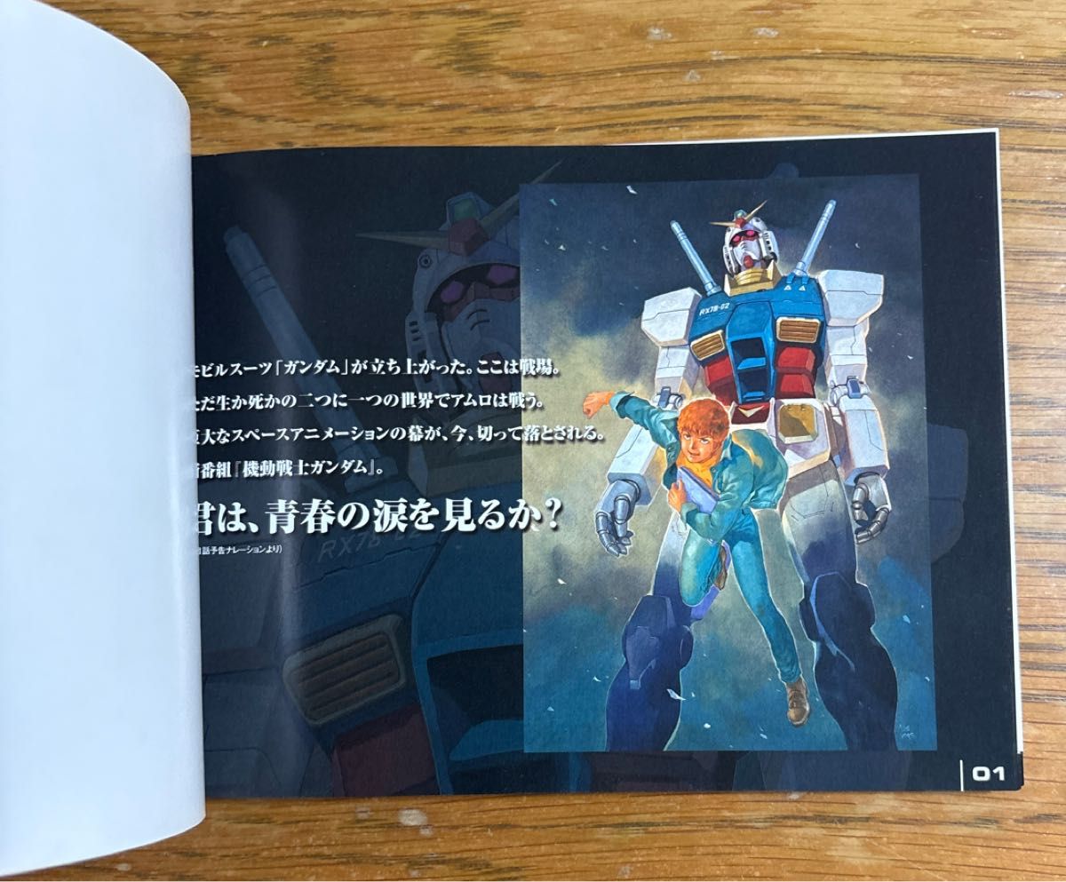 機動戦士ガンダム DVD-BOX 1 Limited Version 初回限定生産 1/200 RX78
