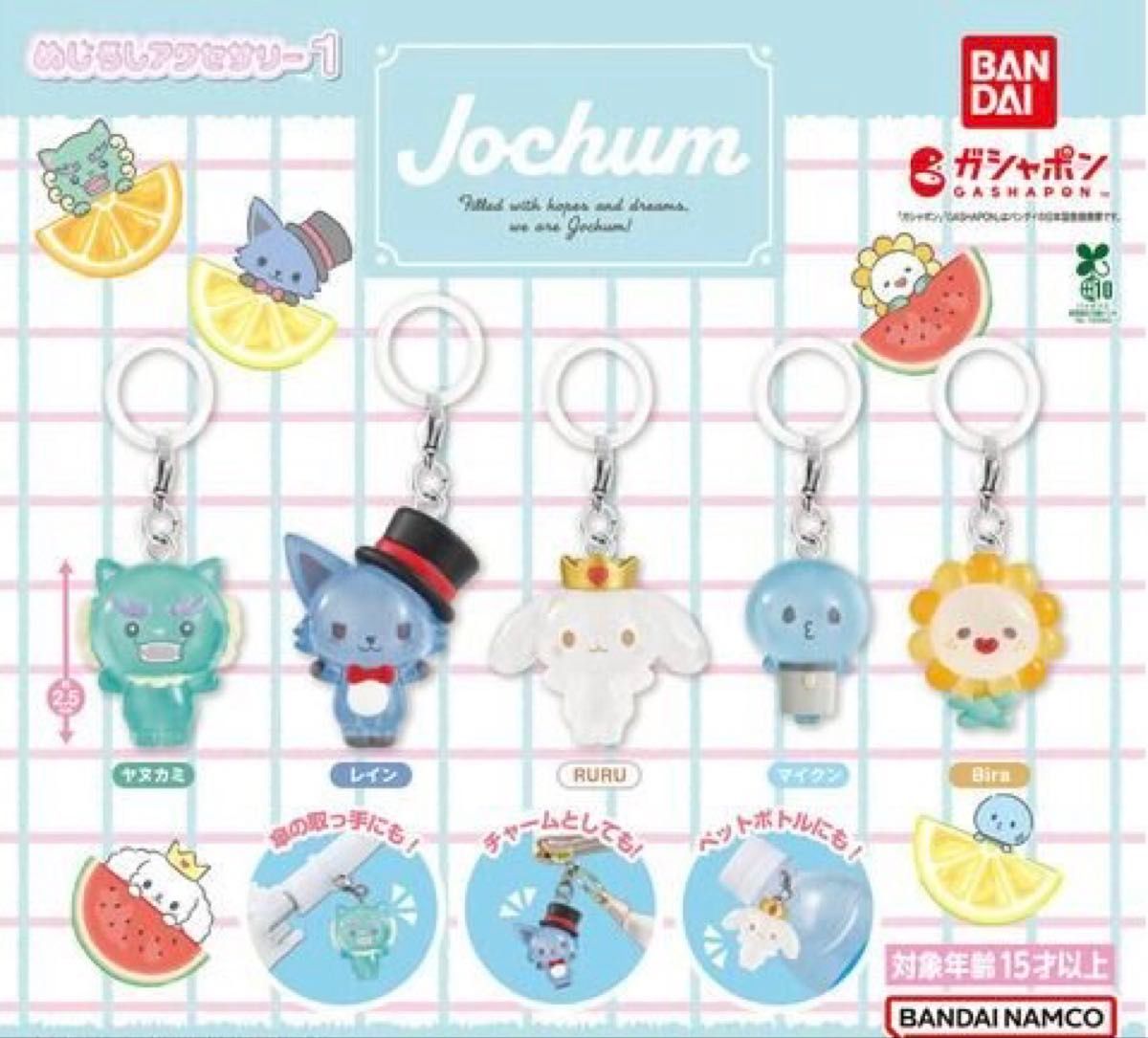 JOCHUM ジェオチャム めじるしアクセサリー レイン 川尻蓮｜Yahoo