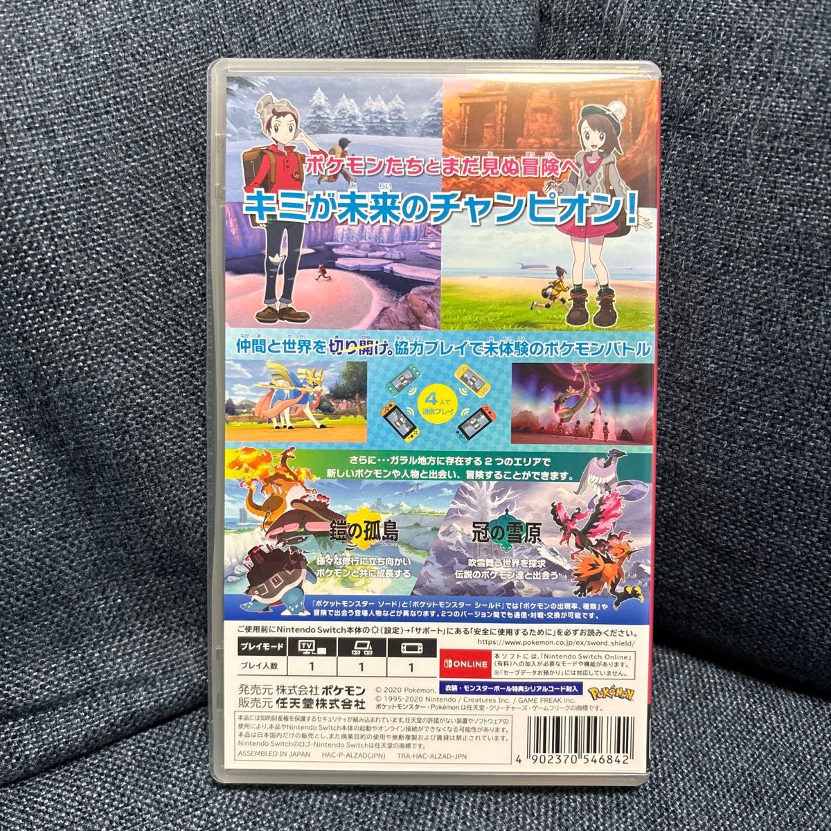 ポケットモンスター ソード＋エキスパンションパスセット Switch