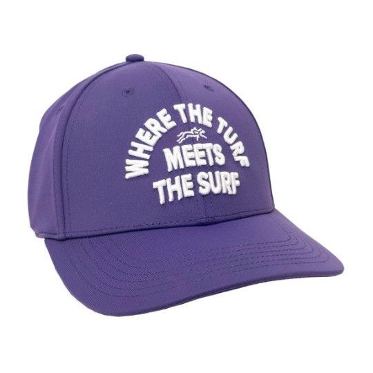 ブリーダーズカップ 2025 フォーエバーヤング キャップ 競馬 アメリカ