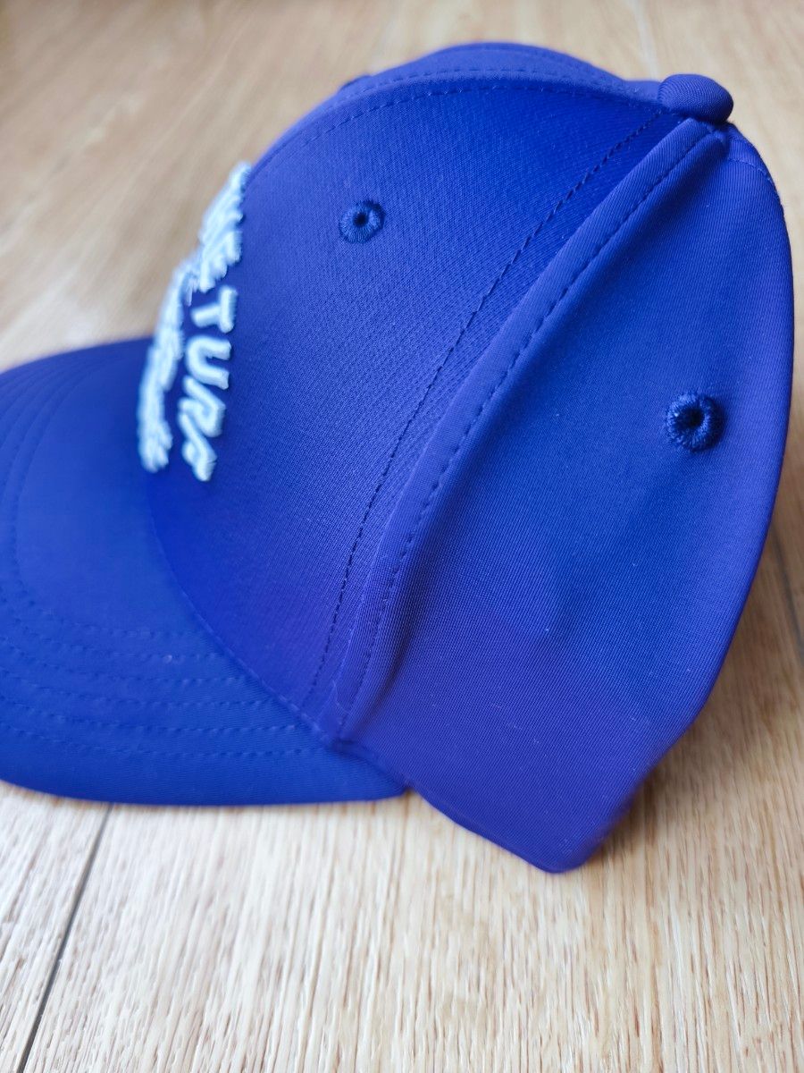 ブリーダーズカップ 2025 フォーエバーヤング キャップ 競馬 アメリカ