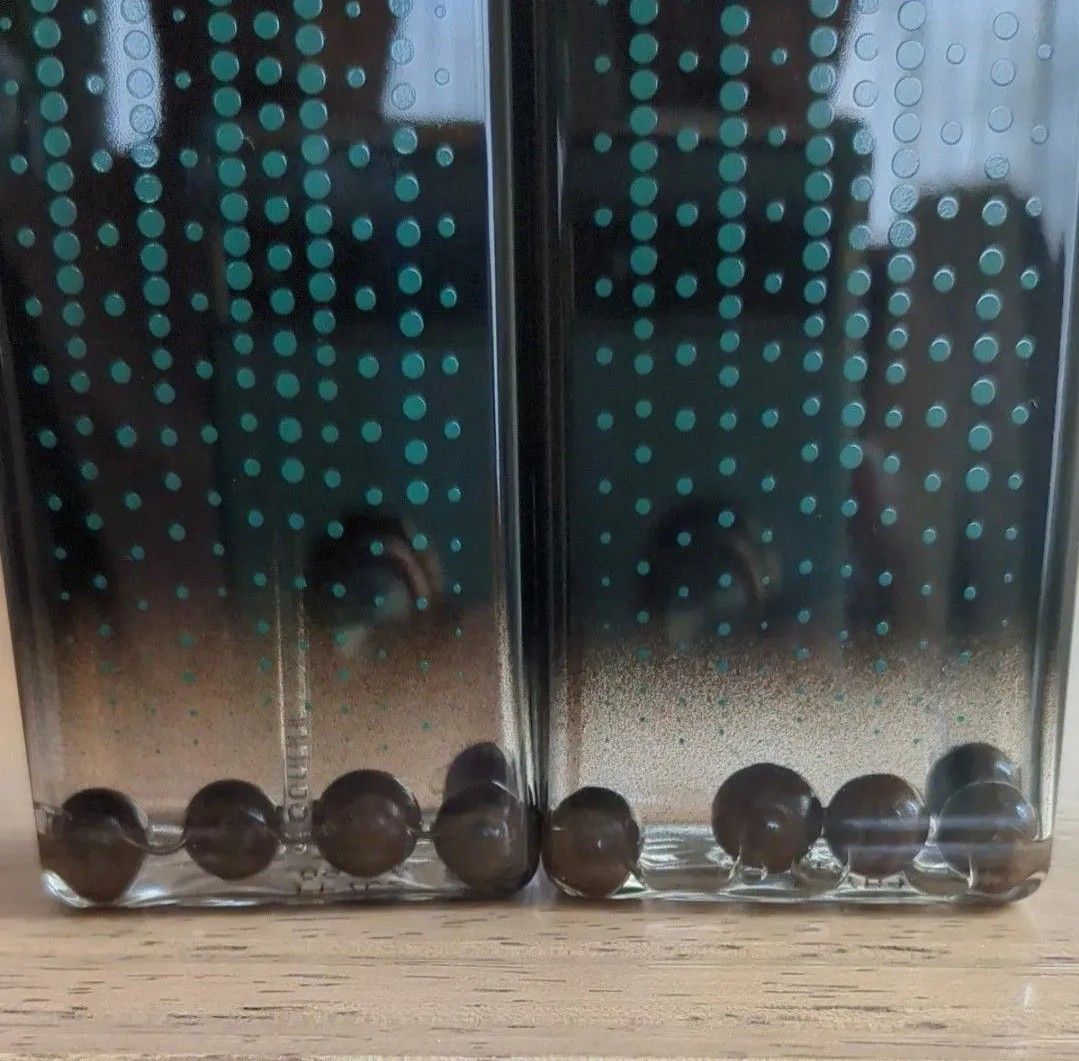 ワールドレップサービス アースボール グリーン10球｜Yahoo!フリマ（旧