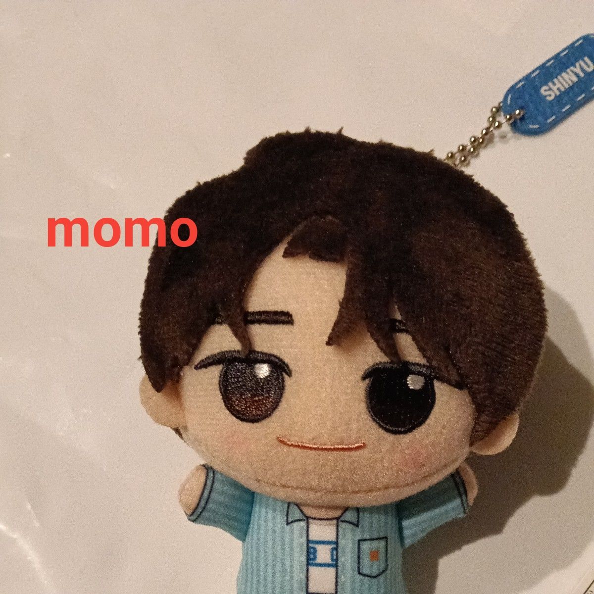 ナムコ限定 TWS From PLEDIS ENTERTAINMENT ちびぐるみ vol 1 SHINYU