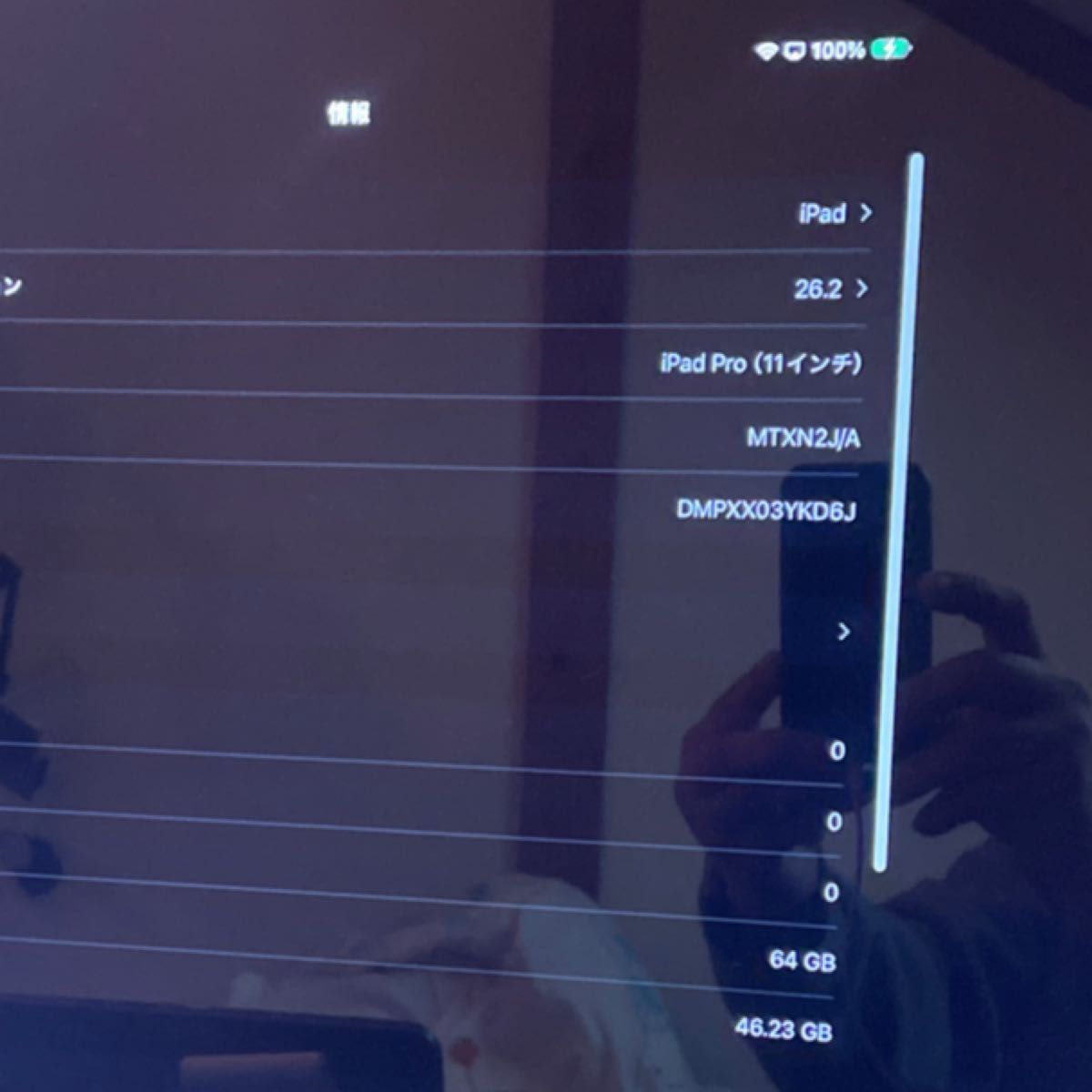 画面割れジャンク ipad pro11 第一世代 wifi版 64GB グレイ バッテリー