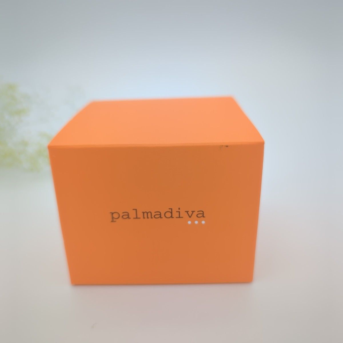 未使用】palmadiva パルマディーバ リッチパーフェクト オールインワン