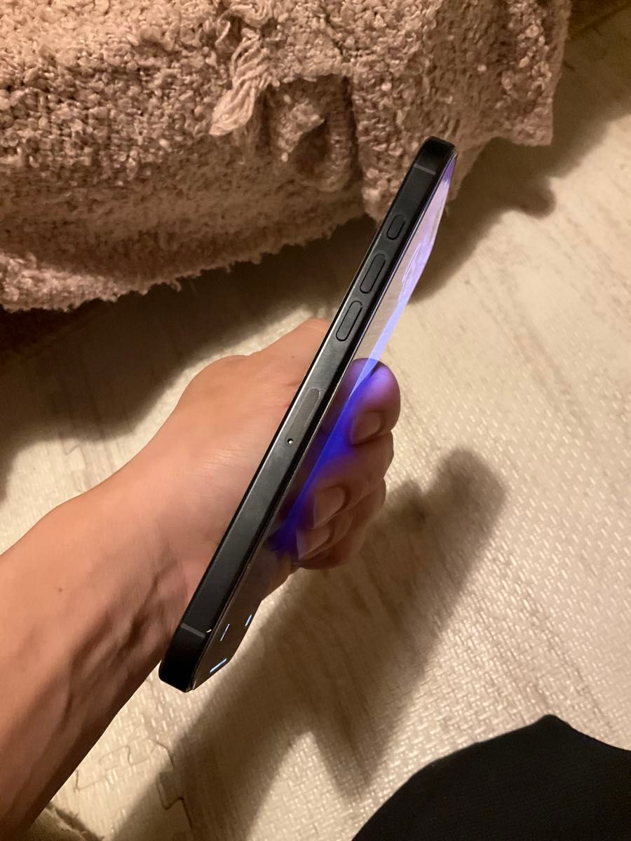 海外版Apple iPhone 16 Pro Max 512GB，美品，バッテリー100％ sim