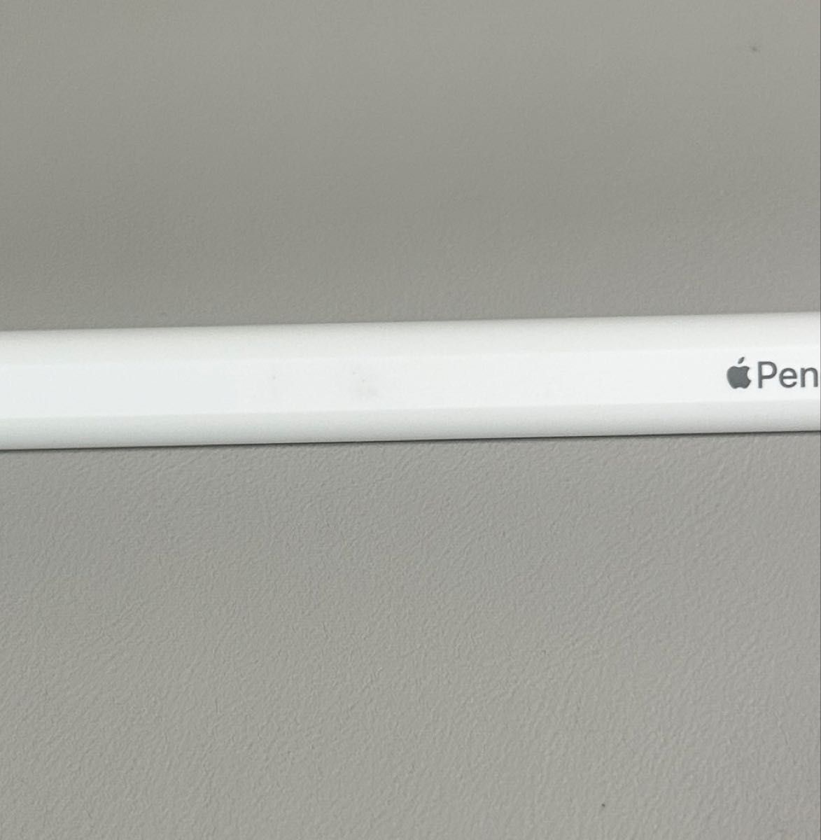 Apple Pencil Pro 美品 本体のみ｜Yahoo!フリマ（旧PayPayフリマ）