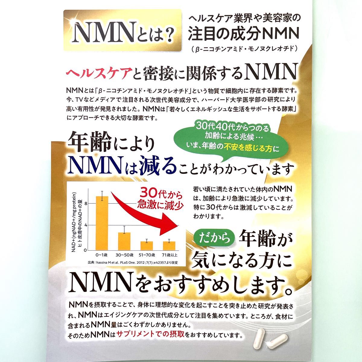 HMB NMN BODY MASTER ボディマスター 2袋｜Yahoo!フリマ（旧PayPayフリマ）