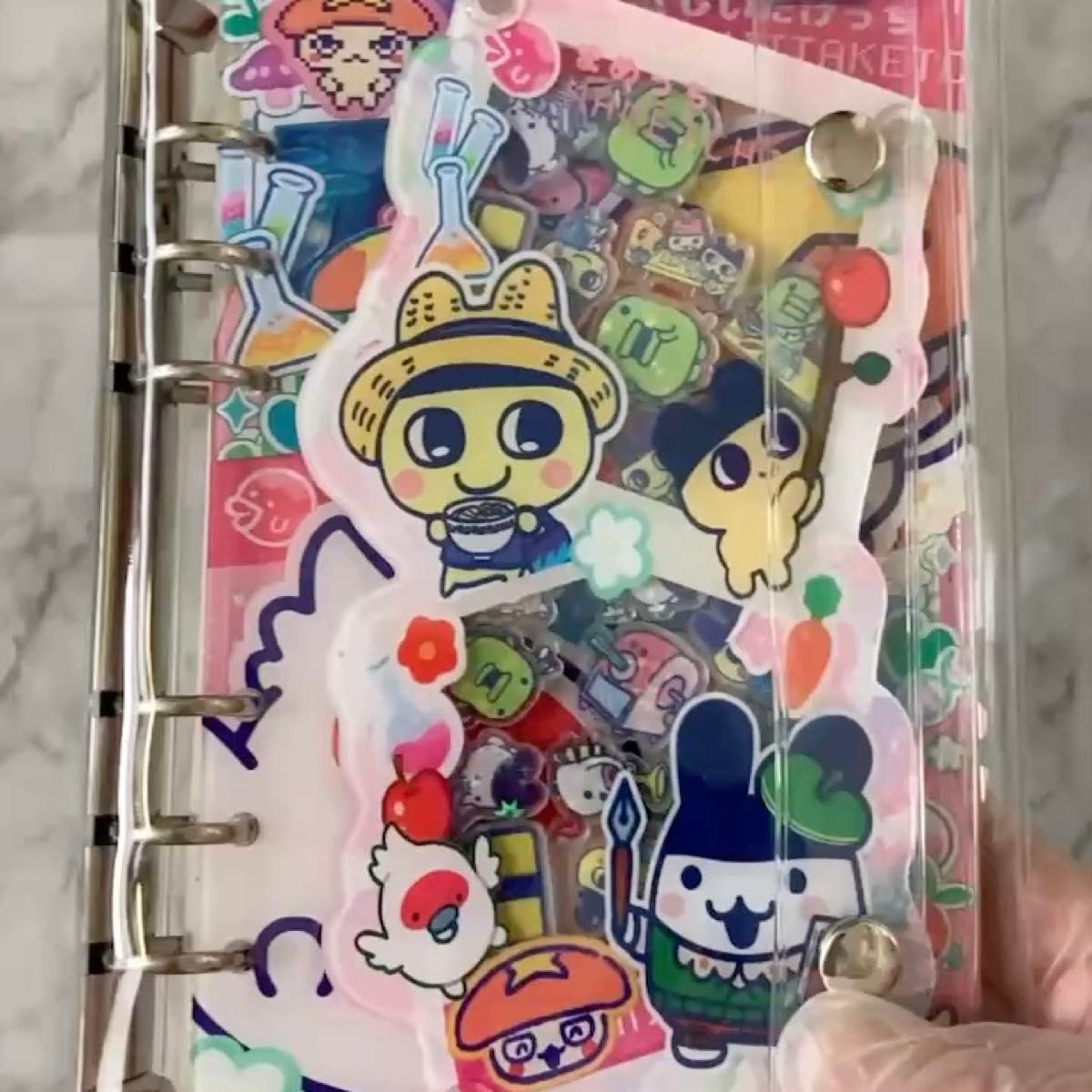 激レア 中古品 バンダイ トリプルキャラコットキーチェーン (2種6体