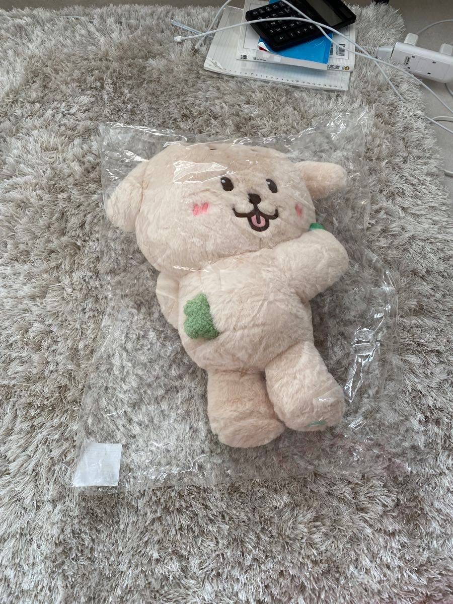 新品未使用 NCT WISH ぬいぐるみ バッグ ジェヒ JAEHEE デントリバー