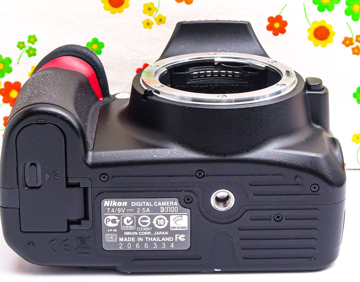 ニコン Nikon D3100 スマホに送れる ダブルレンズ ガイドモード搭載