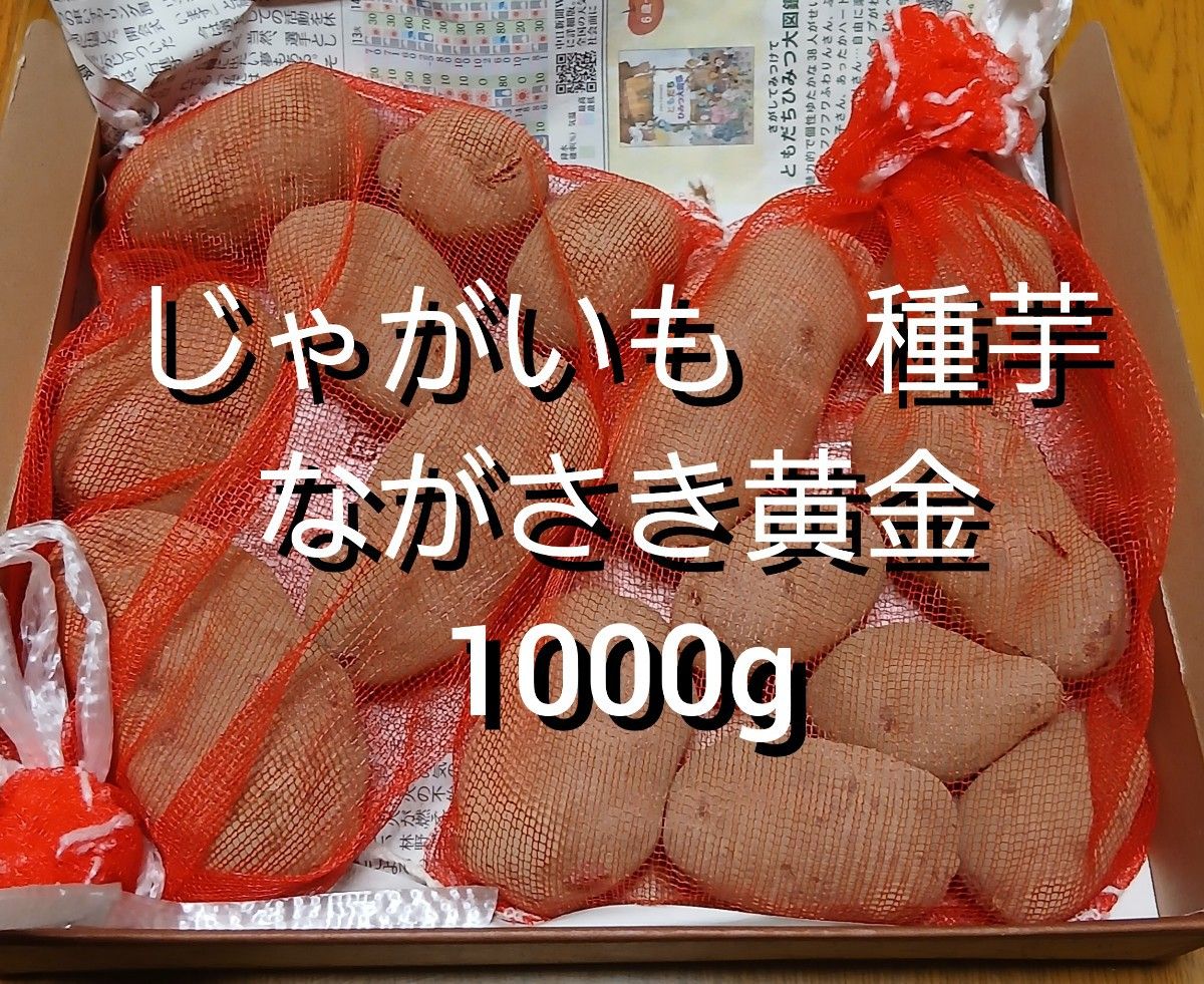 ながさき黄金 種芋 1kg じゃがいも｜Yahoo!フリマ（旧PayPayフリマ）