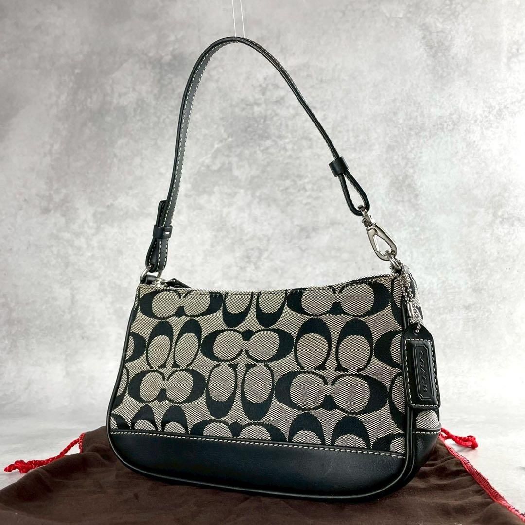 極美品】COACH コーチ アクセサリーポーチ ハンドバッグ ショルダー