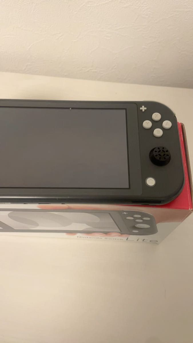 ジャンク品 Switch Lite Nintendo ニンテンドースイッチライト