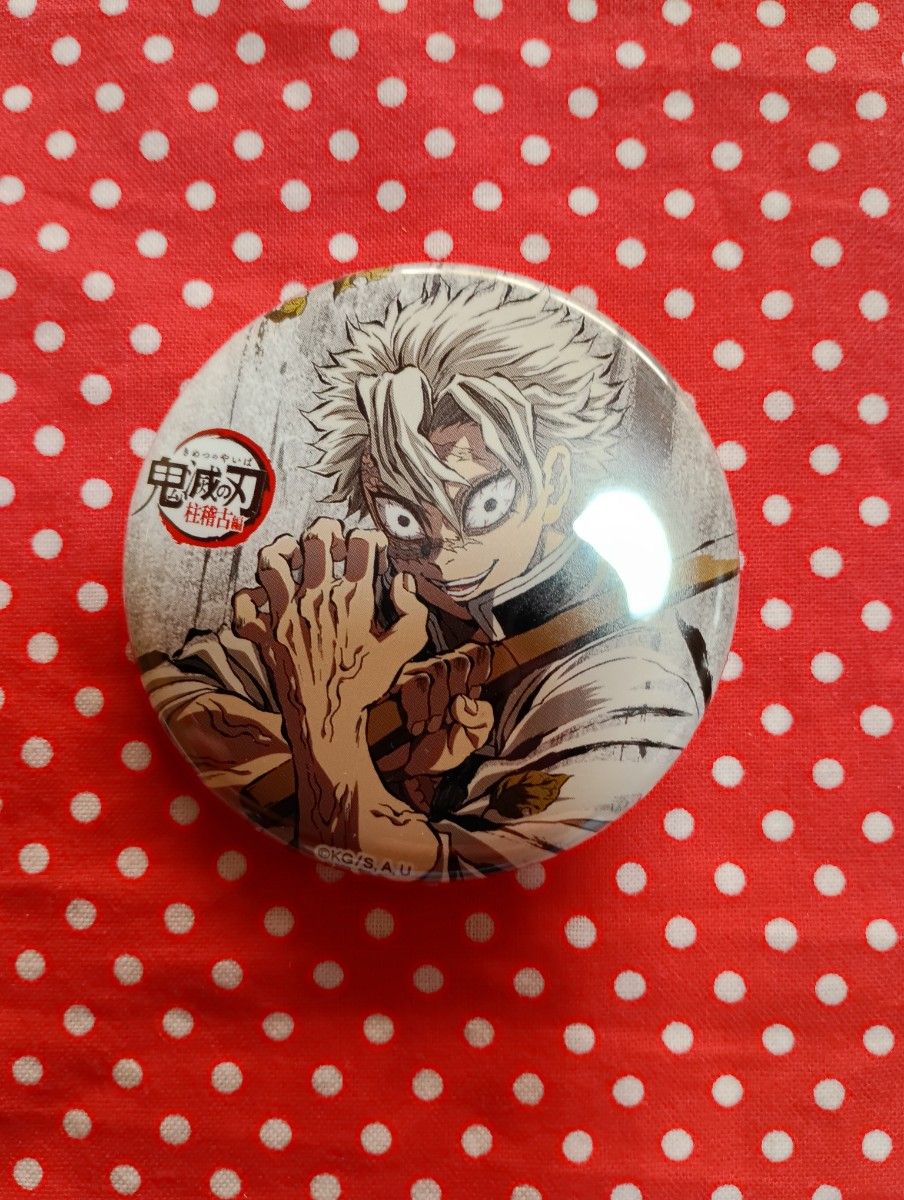 鬼滅の刃 全集中展 幕間画 缶バッジ 不死川実弥｜Yahoo!フリマ（旧