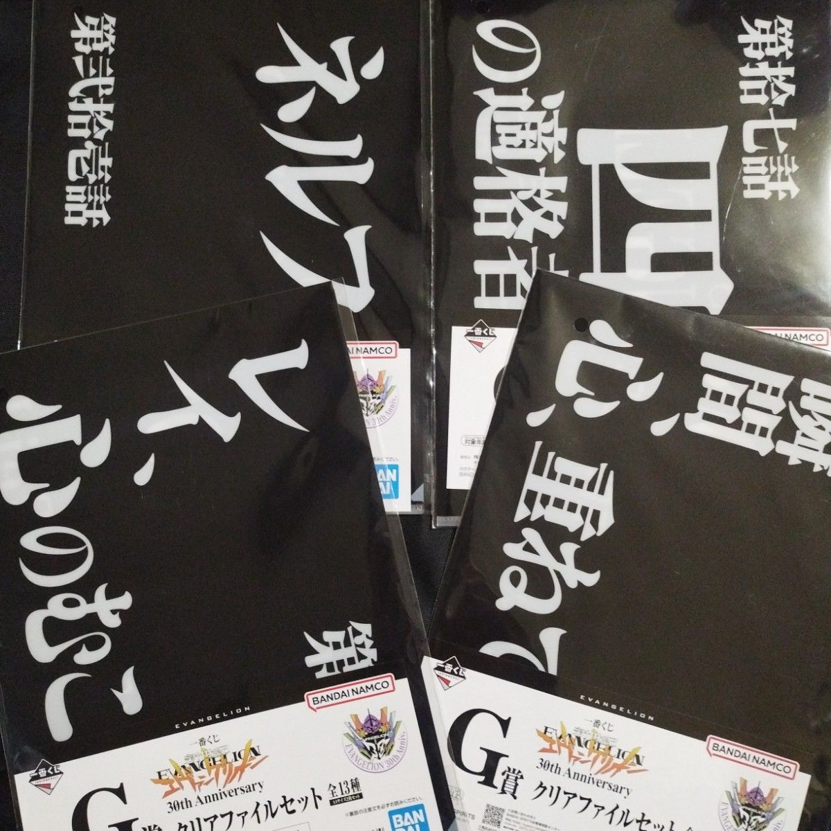 一番くじ新世紀エヴァンゲリオン 30th Anniversary G賞クリアファイル