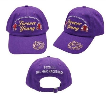 抽選当選品 フォーエバーヤングオリジナルキャップ ポストカード付き