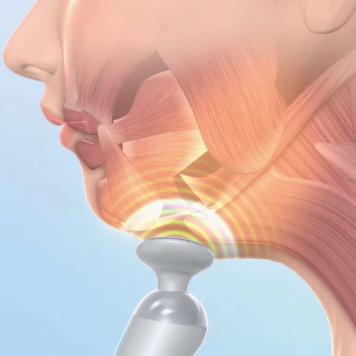 新品未開封 ルネサンス スタイリーフェイス StylyFale EMS 美顔器