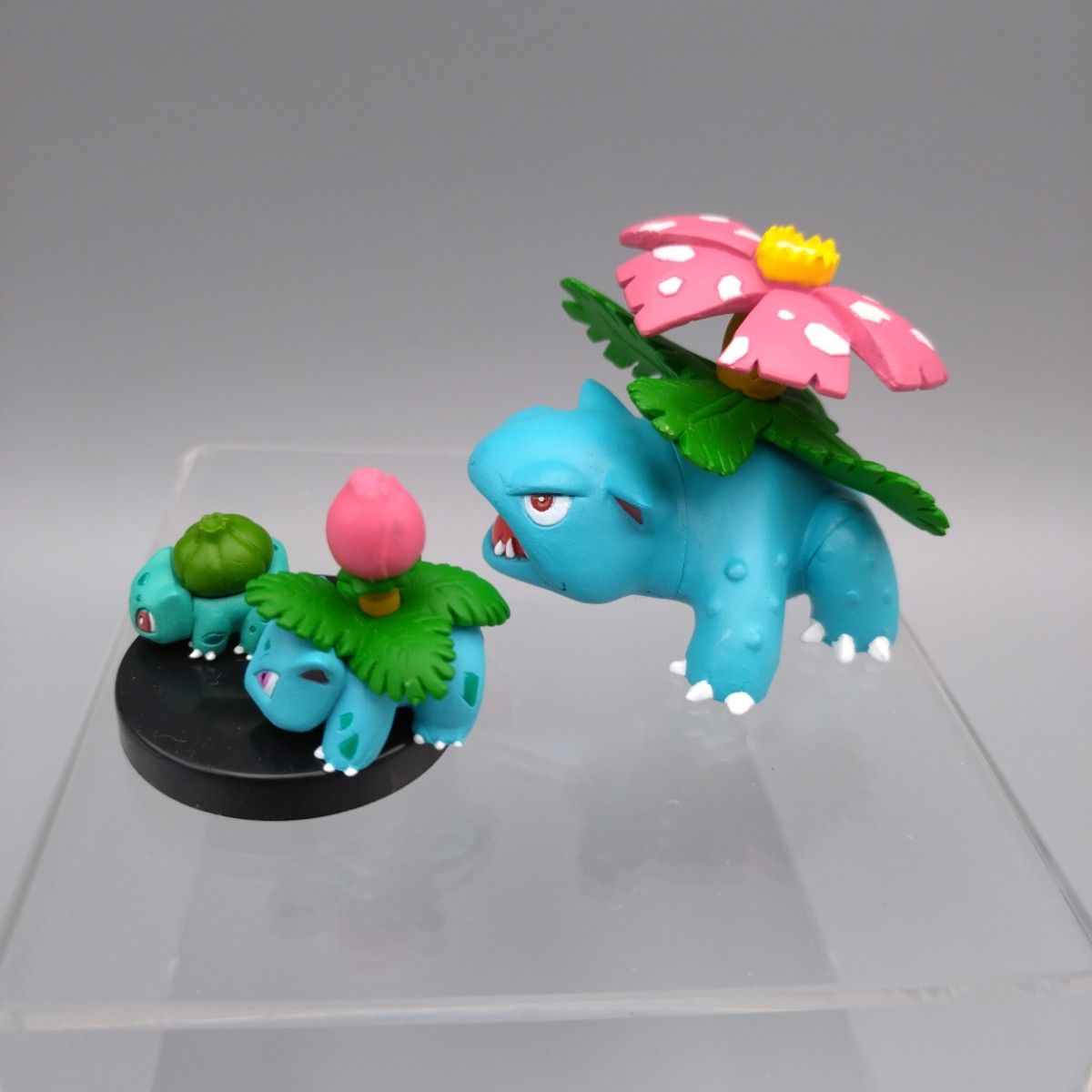 立体ポケモン図鑑 フシギダネ フシギソウ フシギバナ フィギュア