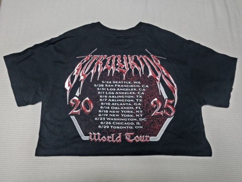 dominATE 北米 限定 Tシャツ Mサイズ アメリカ Stray Kids スキズ