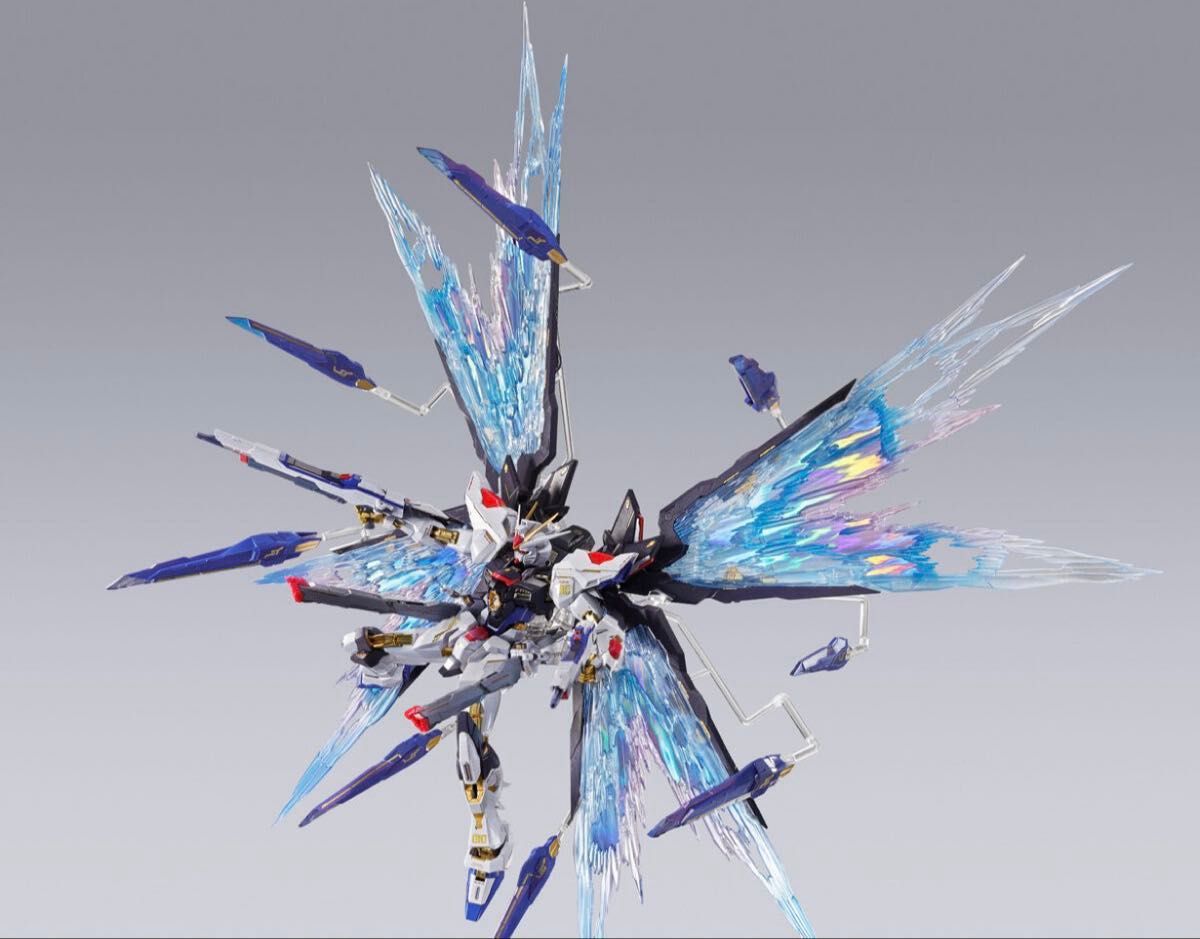 METAL BUILDストライクフリーダムガンダム [METAL BUILD FESTIVAL 2024