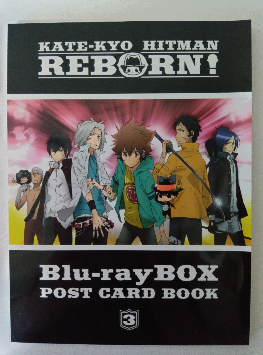 家庭教師ヒットマンREBORN Blu-ray BOX 特典 ポストカードブック3 沢田