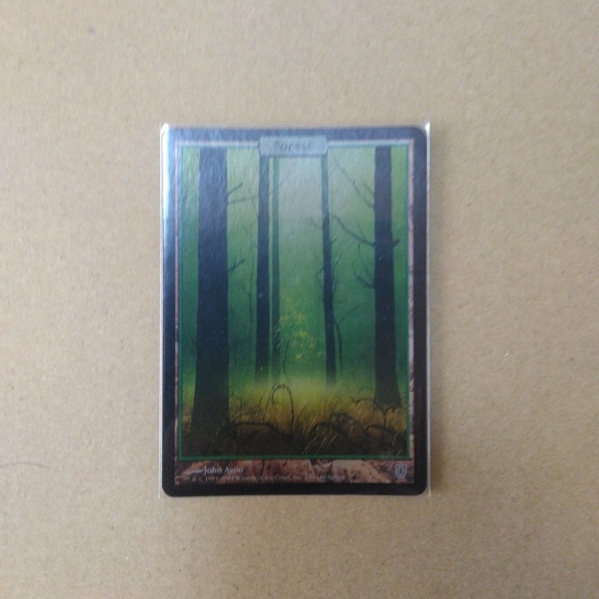 マジック・ザ・ギャザリング MTG Unhinged（アンヒンジド）Foil基本