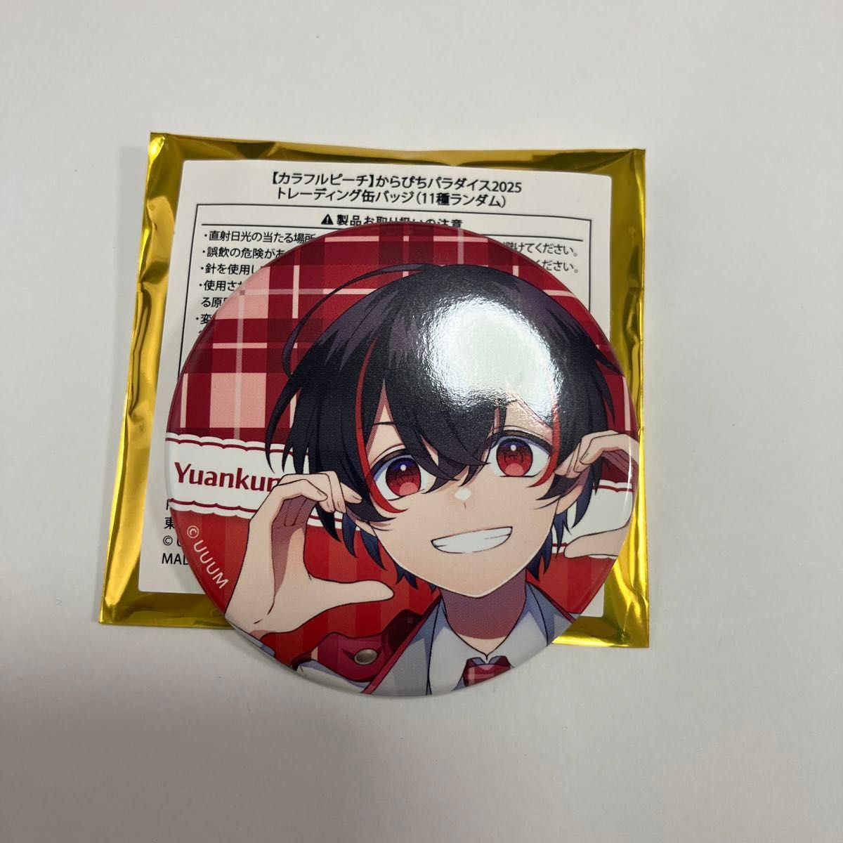 カラフルピーチ からぴちパラダイス2025 ゆあんくん 缶バッジ からぴち