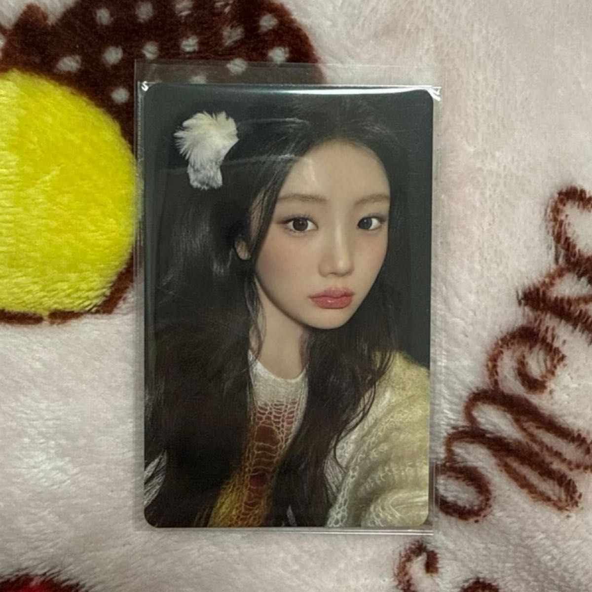 ILLIT ウォンヒ ラキドロ トレカ NOT CUTE ANYMORE 来日記念 正規品