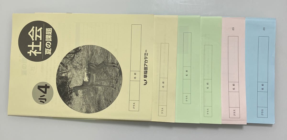 早稲田アカデミー 夏期講習 4年 上位校への算数国語社会理科 総合演習