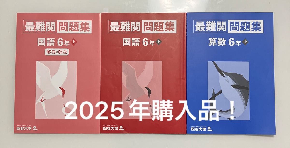 四谷大塚 最難関問題集 算数 国語 6年上 解答と解説｜Yahoo!フリマ（旧