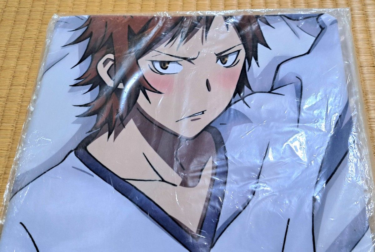 K 抱き枕カバー (伏見猿比古＆八田美咲）グッズ｜Yahoo!フリマ（旧