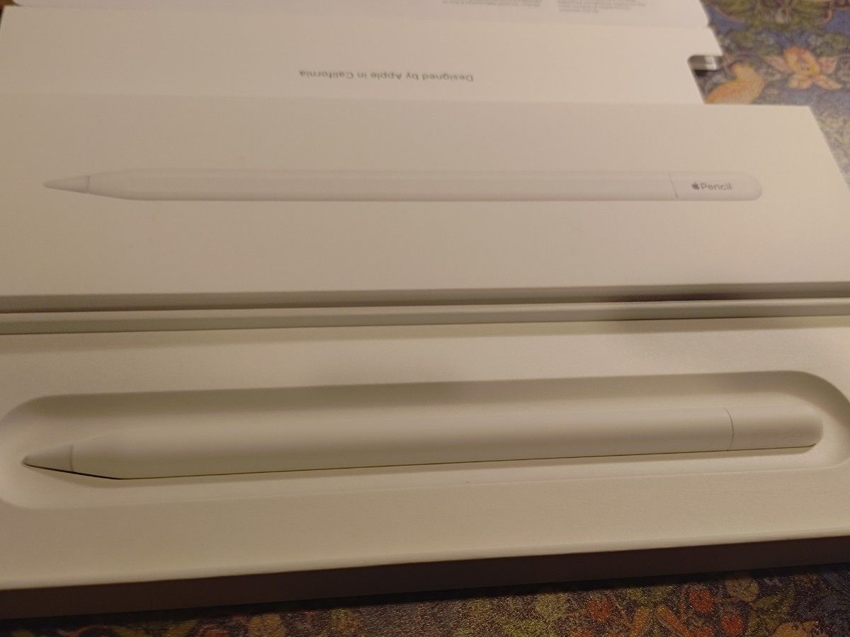 新品 未使用 Apple Pencil アップルペンシル USB-C｜Yahoo!フリマ（旧