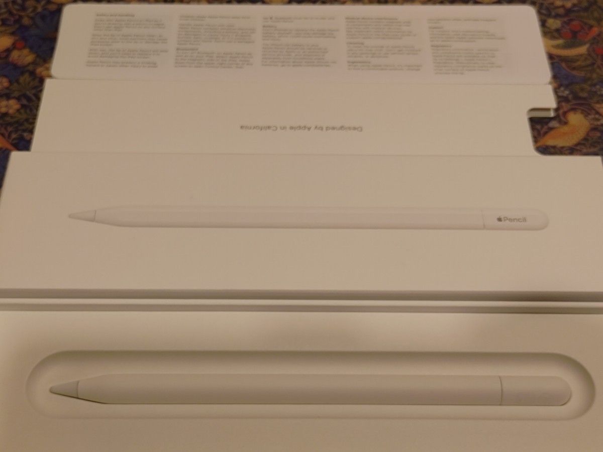 新品 未使用 Apple Pencil アップルペンシル USB-C｜Yahoo!フリマ（旧