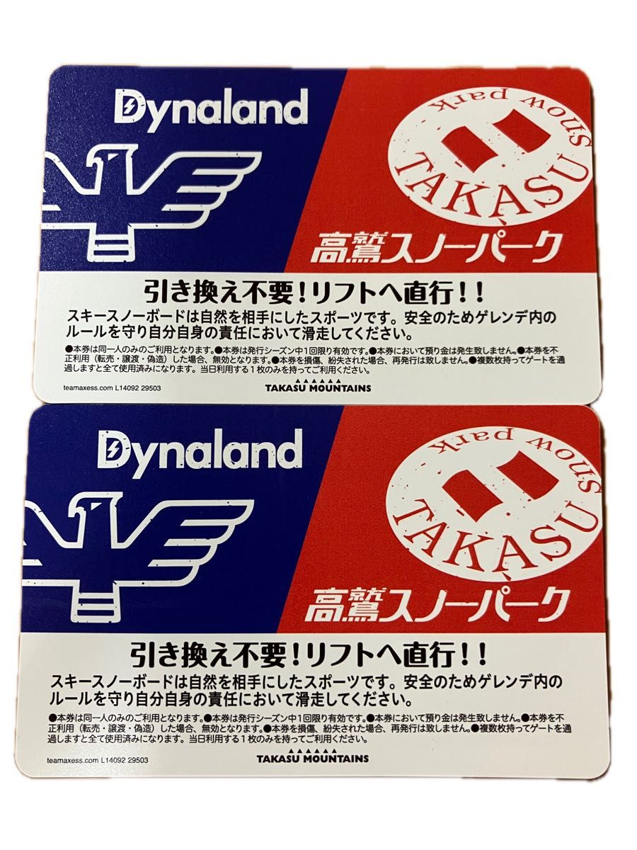 ダイナランド 高鷲スノーパーク リフト券 2枚セット｜Yahoo!フリマ（旧