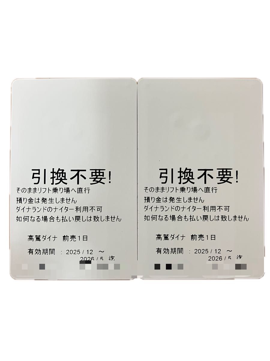 ダイナランド 高鷲スノーパーク リフト券 2枚セット｜Yahoo!フリマ（旧